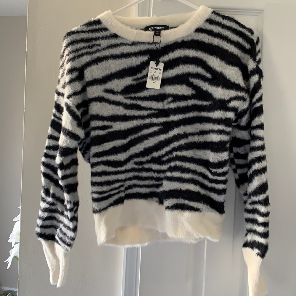Express cropped fuzzy sweater